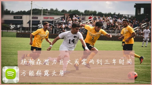 杨瀚森潜力巨大或需两到三年时间方能崭露头角