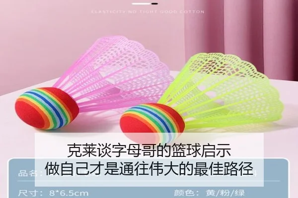克莱谈字母哥的篮球启示 做自己才是通往伟大的最佳路径 - TianQi